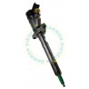 0445110136 Common Rail Bosch Injector 