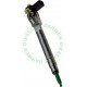 0445110208 Common Rail Bosch Injector 