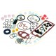 7135-122 Spaco DPS Fiat Pump Gasket kit