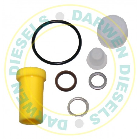 NWCR101 Common Rail Spool Repair Kit