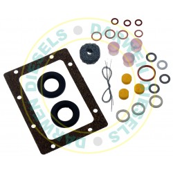 RGK018 Spaco Gasket Kit for SPE3A Minimec Pump