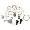 2447010004 DTP Supply Pump Service Kit