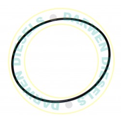 27245 Spaco Seal Ring