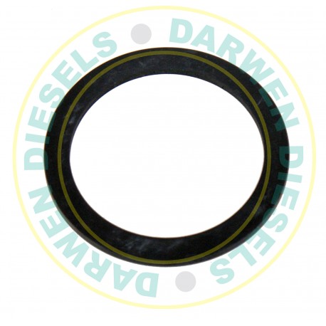 26D46 Lift Pump Flange Seal Ring