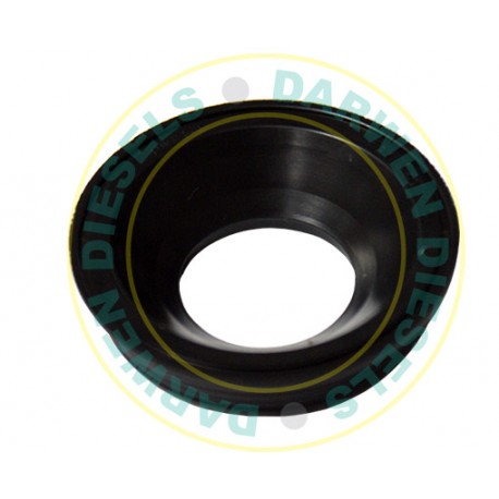 18D860 Common Rail Engine Seal Bosch VW/Audi