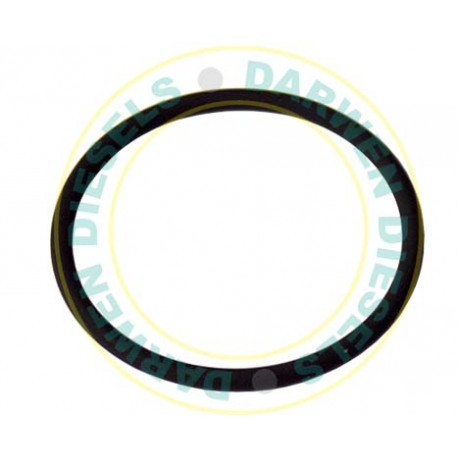 7190-065JY Delphi O-Ring DFP6.1 7190-065JY Delphi O-Ring DFP6.1