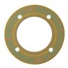 7033-176 Bearing Gasket
