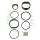 EUI106 Injector Repair kit Scania/Cummins