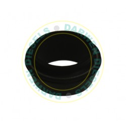 18D868 Common Rail Engine Seal Bosch Iveco