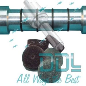 50D241 Common Rail Bosch CP1 Pump Element Cleaner