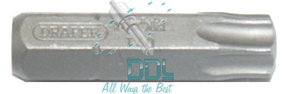 50D071 Bosch CP1 Plunger Head TX40 Torx Bit