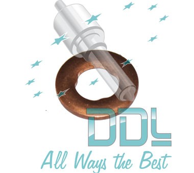 27D142 Common Rail Washer Mercedes Bosch