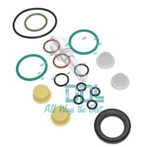 CMR151 Common Rail CP4 Repair Kit 2 Elements