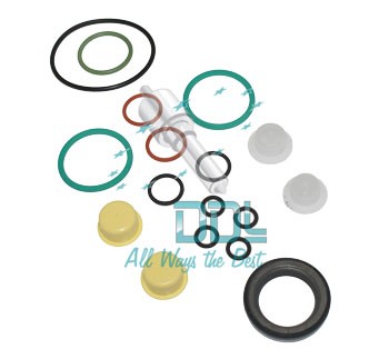 CMR151 Common Rail CP4 Repair Kit 2 Elements