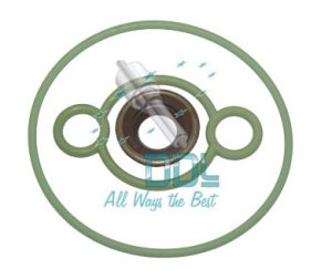 CMR372 Common Rail CP3 Gear Pump Seal Kit