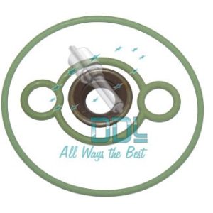 CMR372 Common Rail CP3 Gear Pump Seal Kit
