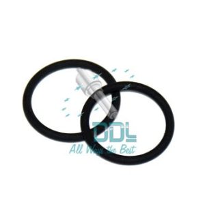 PPD100 Siemens PPD Body O- Ring