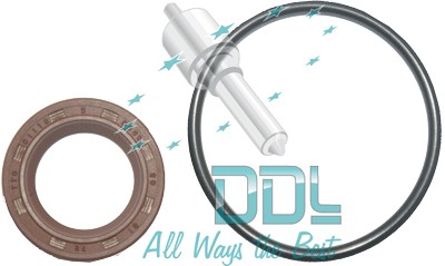 CMR101 Common Rail Bosch O Ring and Seal