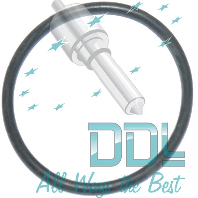 CMR242 Common Rail Denso Solenoid O Ring