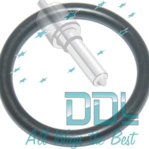 CMR243 Common Rail Denso Injector Body O Ring