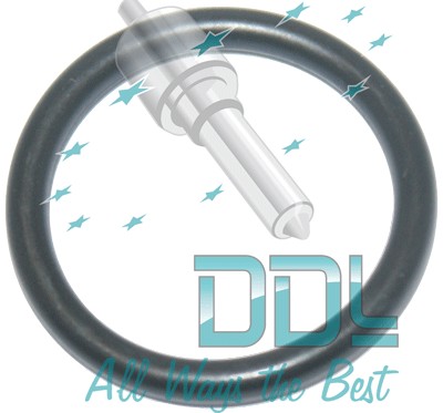 CMR243 Common Rail Denso Injector Body O Ring