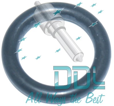 CMR244 Common Rail Denso Injector Inlet O Ring Komatsu