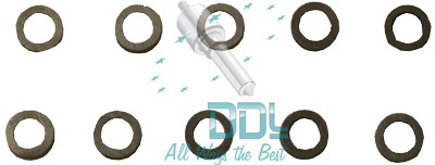 Common Rail Solenoid/Start Of Injection Shim