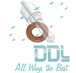 27D164 Common Rail Washer Ford/JCB/Citroen Delphi