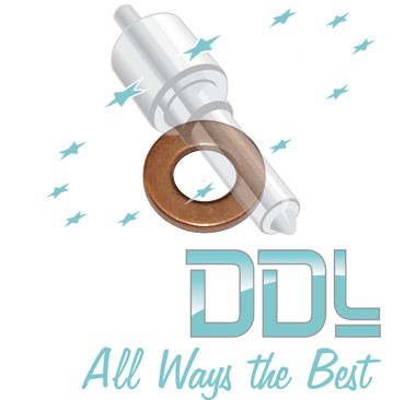 27D164 Common Rail Washer Ford/JCB/Citroen Delphi