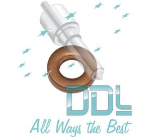 27D165 Common Rail Washer PSA Delphi