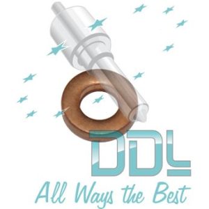 27D165 Common Rail Washer PSA Delphi