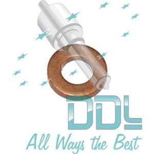 27D166 Common Rail Washer Delphi Citreon/Peugeot