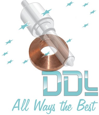 27D169 Common Rail Washer Denso