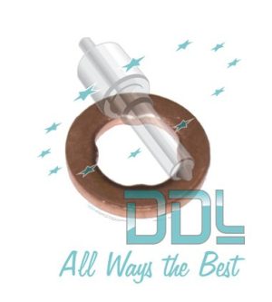 27D173 Common Rail Washer Tata Delphi/Siemens