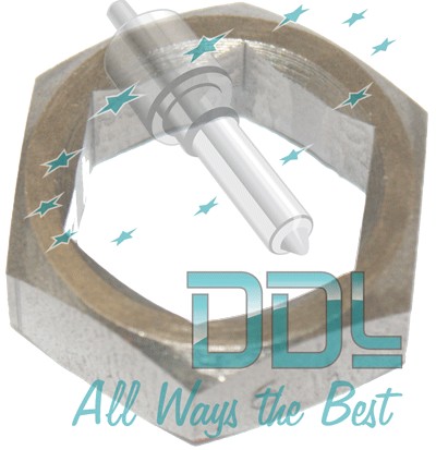 45D059 19mm Socket VW1 PDE