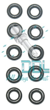 CMR115 Common Rail Delphi Leak Off O Ring