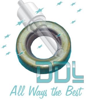 18D302 Common Rail Bosch Oil Seal CP3 Transfer pump