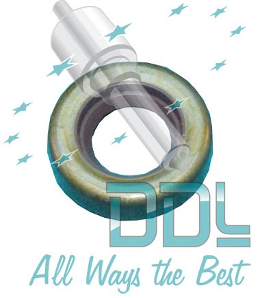 18D302 Common Rail Bosch Oil Seal CP3 Transfer pump