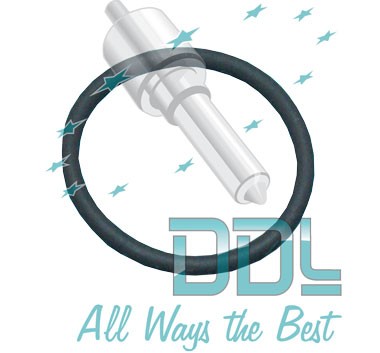 18D301 Common Rail Bosch Large O Ring CP3 Transfer Pump