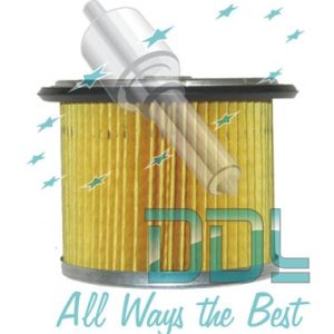 22D1608 Filter Element Citroen / Peugeot