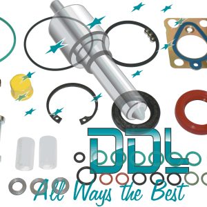 Seal Repair Kir DFP3 Delphi Mercedes Pump