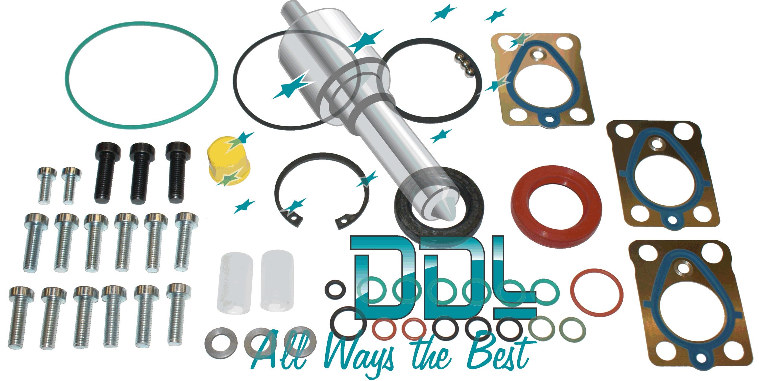 Seal Repair Kir DFP3 Delphi Mercedes Pump