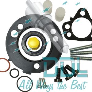 Common Rail Delphi Repair Kit for DFP6 Pump