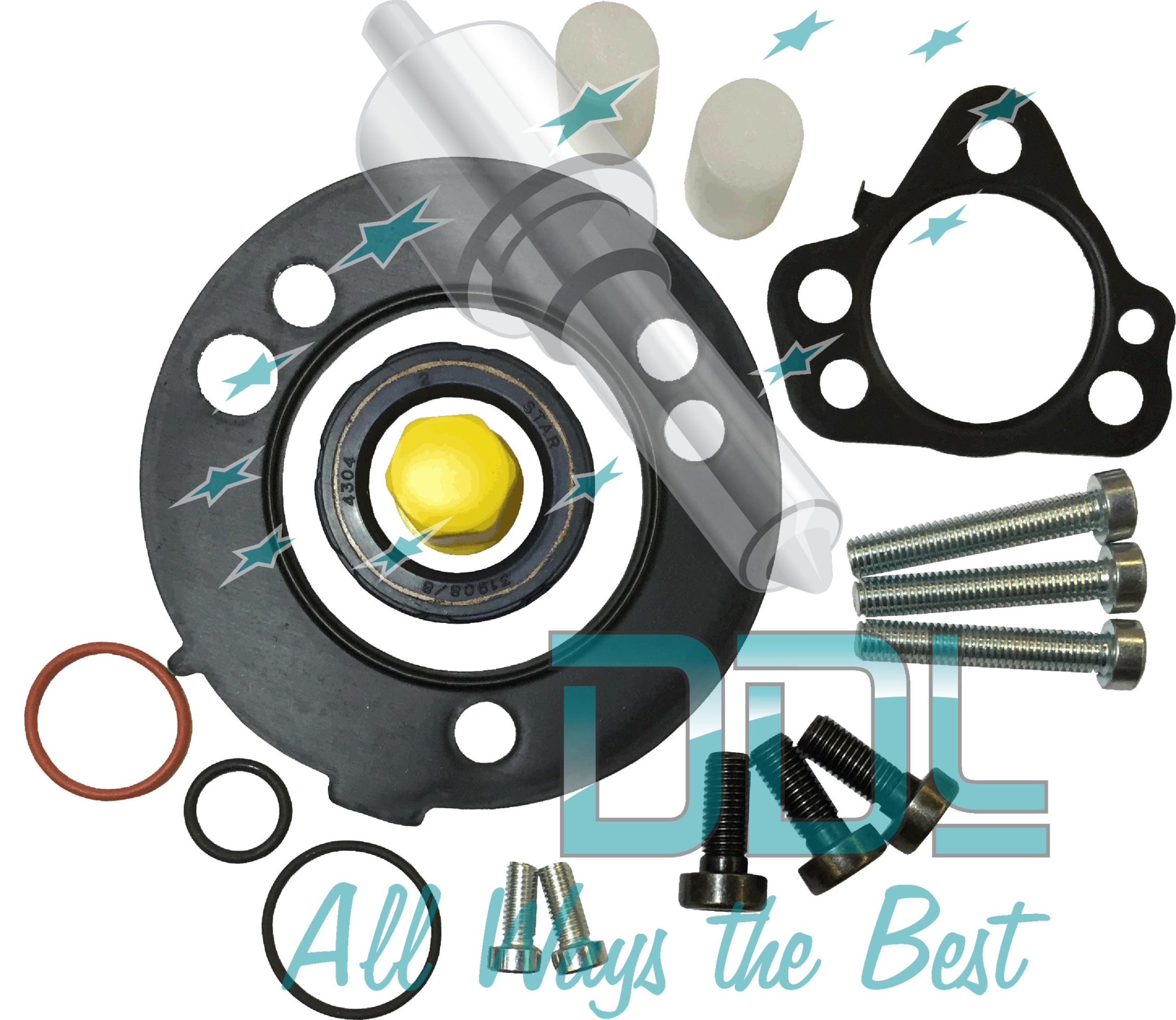 Common Rail Delphi Repair Kit for DFP6 Pump