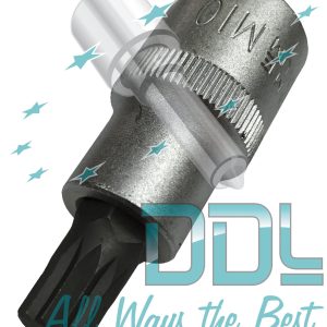 10mm 12 Corner Torx Bit Pilot Valve