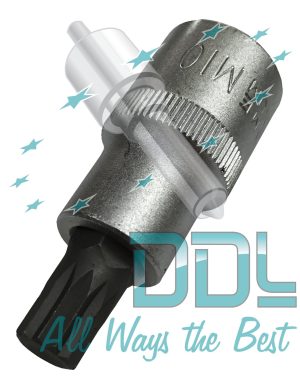 10mm 12 Corner Torx Bit Pilot Valve