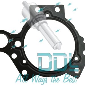 Common Rail Siemens Flange Gasket