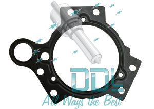 Common Rail Siemens Flange Gasket