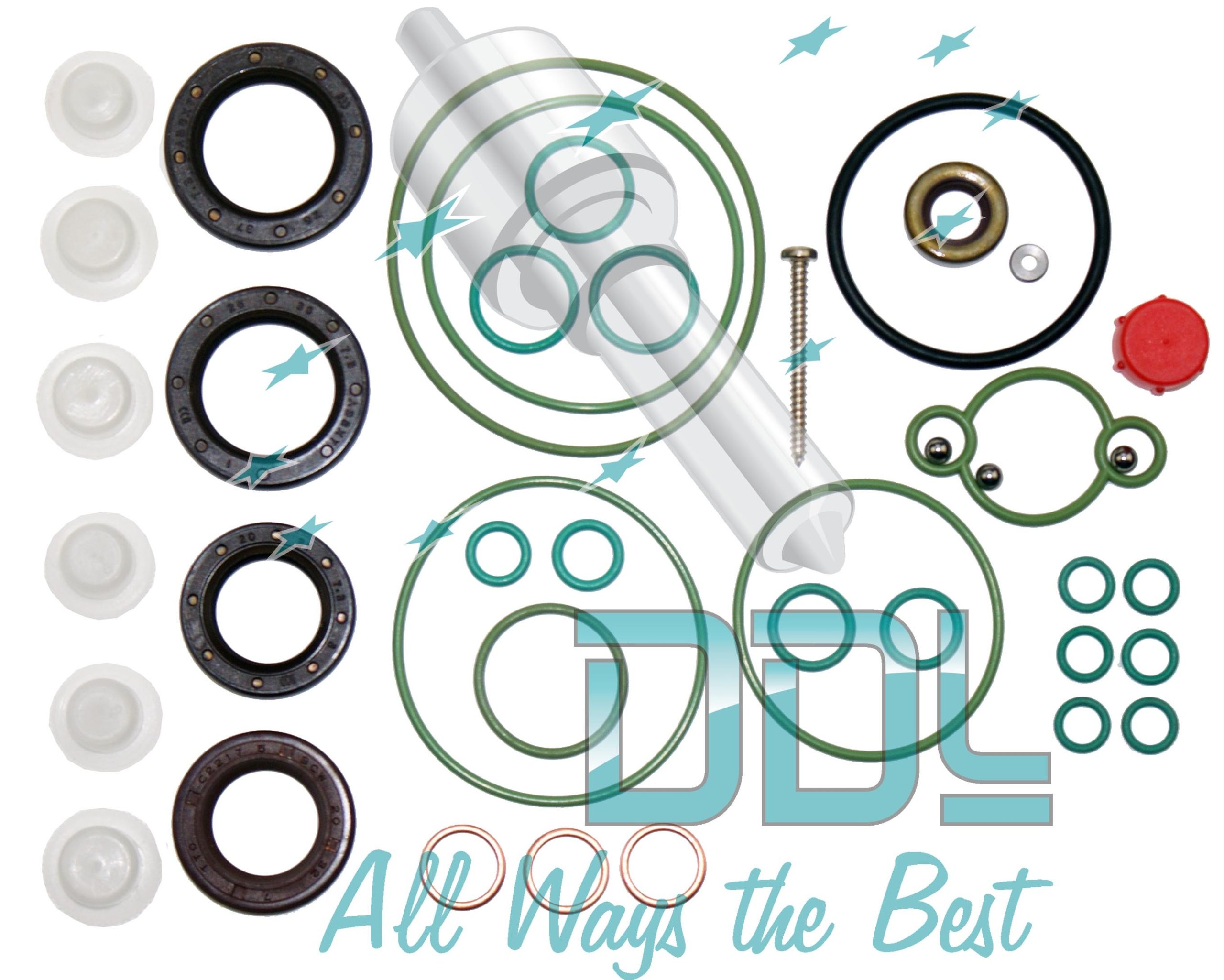Common Rail CP3 Bosch Pump Seal Kit