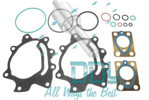 Seal Repair Kit DPF3 Delphi Pump